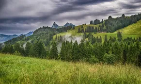 svizzera